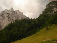 2014-08-02_06FritzPflaum-Steig (433).JPG